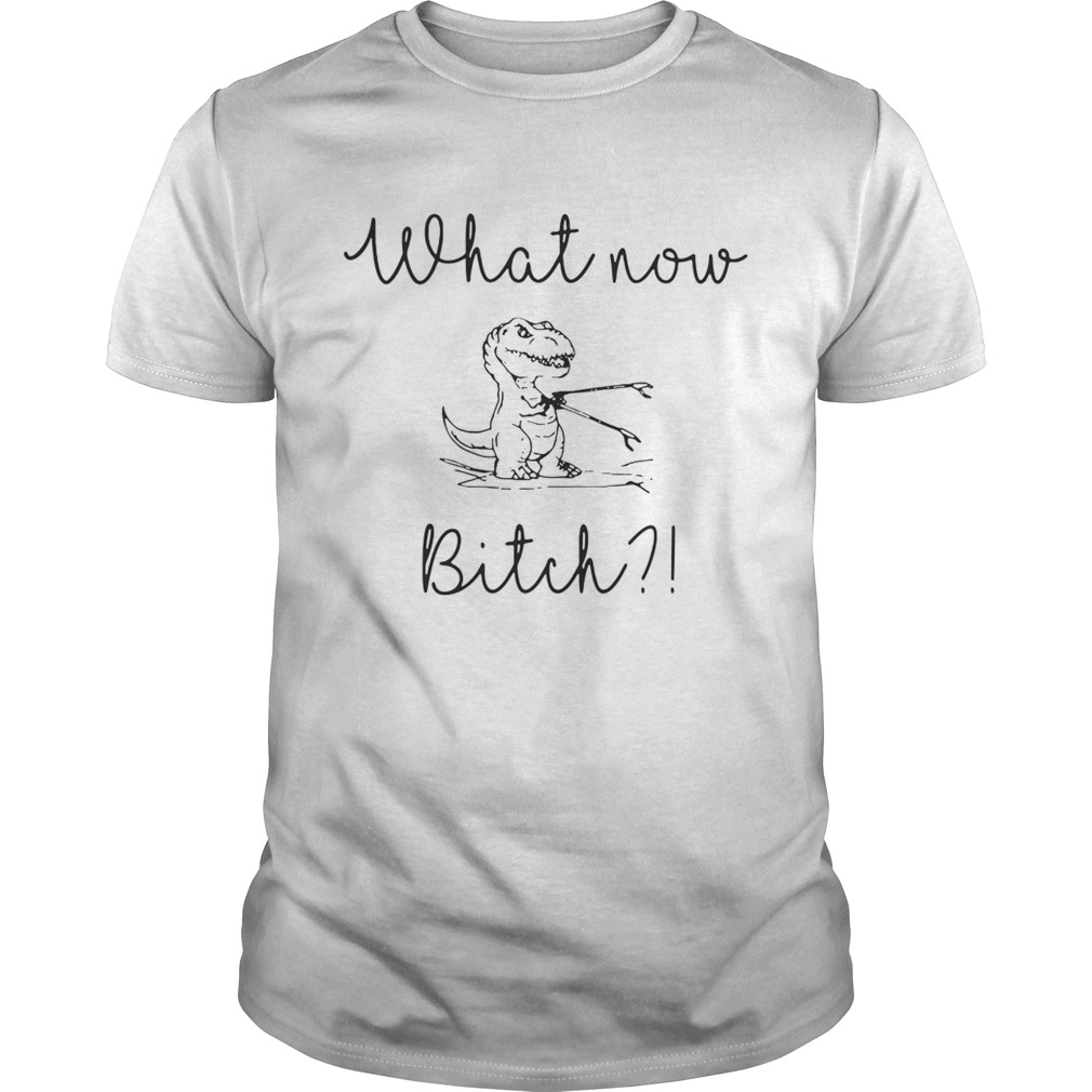 Dinosaurs What Now Bitch shirt