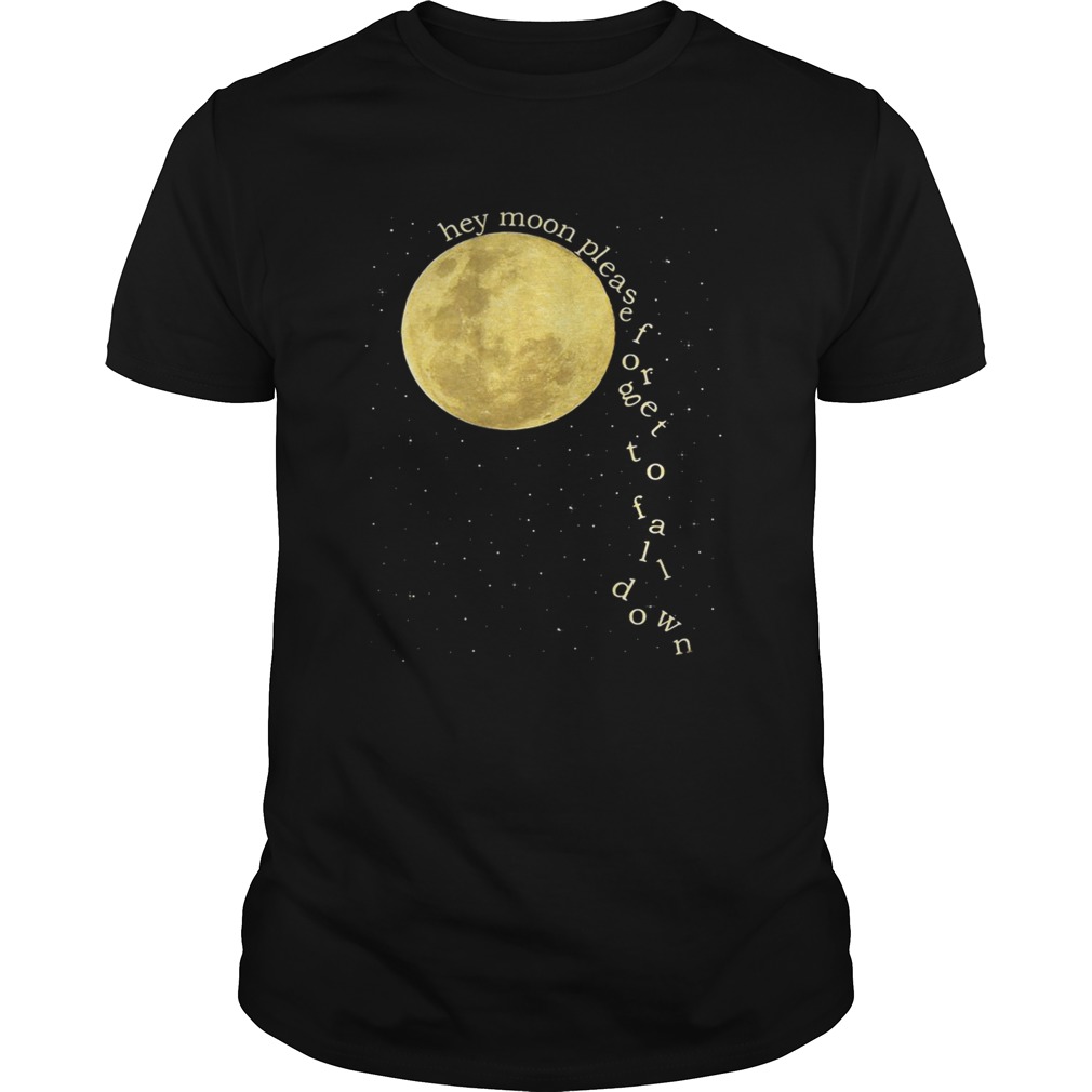 Panic at the Disco hey moon please forget to fall down shirt