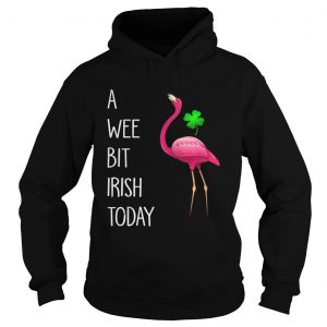 Hoodie Flamingos pink a wee bit Irish today shirt