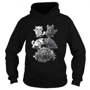 Hoodie How to Train Your Dragon cat fusion bat Toothless shirt