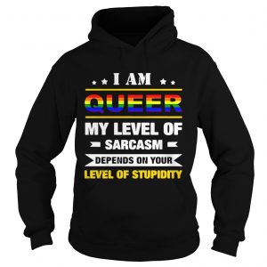 Hoodie I am queer my level of sarcasm depends on your level of stupidity shirt