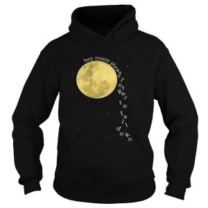 Hoodie Panic at the Disco hey moon please forget to fall down shirt