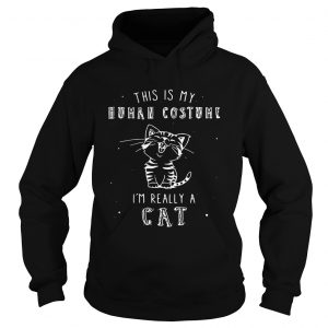 Hoodie This is my human costume Im really a cat shirt