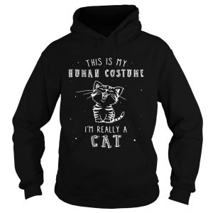Hoodie This is my human costume im really a cat shirtHoodie This is my human costume im really a cat shirt