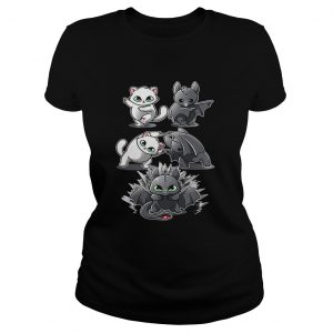 Ladies Tee How to Train Your Dragon cat fusion bat Toothless shirt