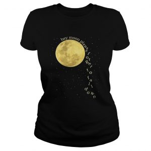 Ladies Tee Panic at the Disco hey moon please forget to fall down shirt