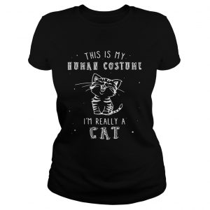 Ladies Tee This is my human costume im really a cat shirt