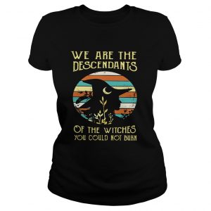 Ladies Tee We are the descendants of the witches you could not burn shirt