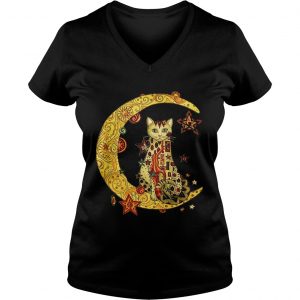 Ladies Vneck Cat on the moon Cat humor animalday shirt