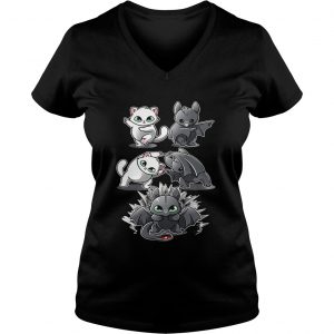 Ladies Vneck How to Train Your Dragon cat fusion bat Toothless shirt
