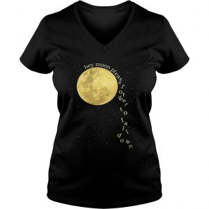 Ladies Vneck Panic at the Disco hey moon please forget to fall down shirt