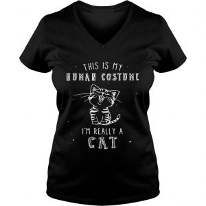 Ladies Vneck This is my human costume im really a cat shirt