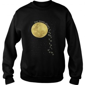 Sweatshirt Panic at the Disco hey moon please forget to fall down shirt