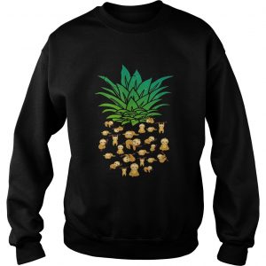 Sweatshirt Sloth Pineapple shirt