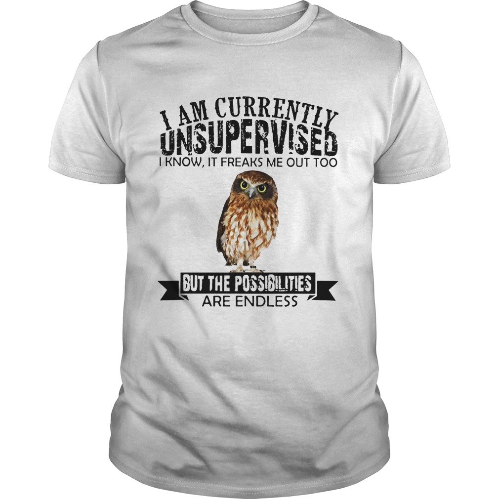 Burrowing Owl I am currently Unsupervised I know it freaks me out too but the possibilities are endless long sleeve and ladies shirt