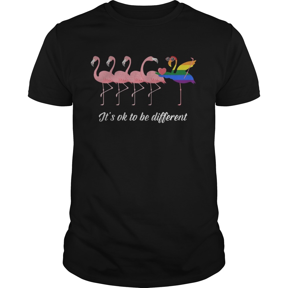 Flamingo LGBT It’s ok to be different shirt