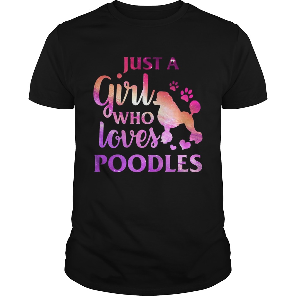 Just A Girl Who Loves Poodle Colorful Gift Shirt