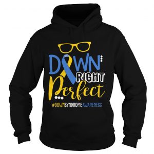Hoodie Down Right Perfect Shirt