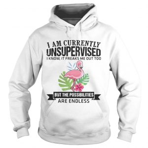 Hoodie Flamingo I am currently unsupervised I know It freaks me out too but the possibilities are endless