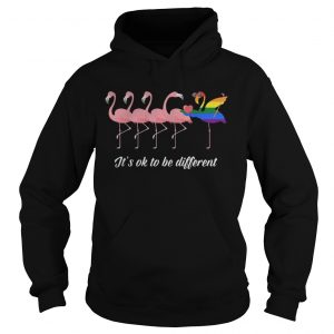 Hoodie Flamingo LGBT Its ok to be different shirt