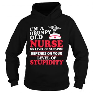 Im a grumpy old Nurse my level of sarcasm depends on your level of stupidity Hoodie