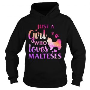 Just A Girl Who Loves Maltese Colorful Gift Hoodie