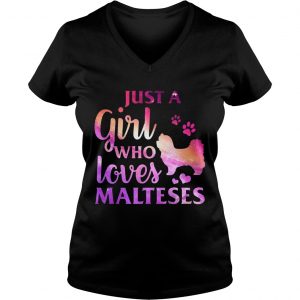Just A Girl Who Loves Maltese Colorful Gift Ladies Vneck