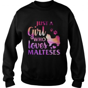 Just A Girl Who Loves Maltese Colorful Gift Sweatshirt