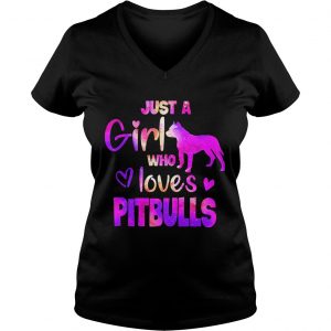 Just a girl who loves pitbulls Ladies Vneck