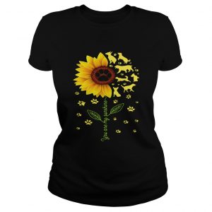 Ladies Tee Dogs sunflower you are my sunshine shirt