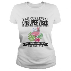 Ladies Tee Flamingo I am currently unsupervised I know It freaks me out too but the possibilities are endless