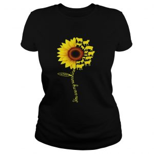 Ladies Tee Sunflower Cow you are my sunshine shirt