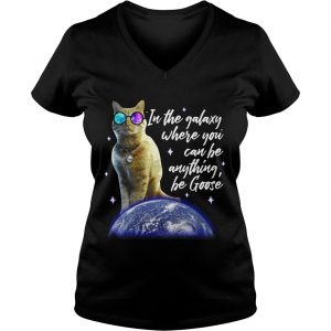 Ladies Vneck Cat In the galaxy where you can be anything be Goose shirt