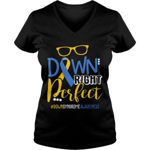 Ladies Vneck Down Right Perfect Shirt