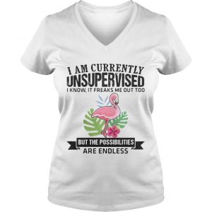 Ladies Vneck Flamingo I am currently unsupervised I know It freaks me out too but the possibilities are endless