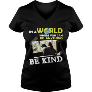 Ladies Vneck In A World Where You Can Be Anything Be Kind TShirt