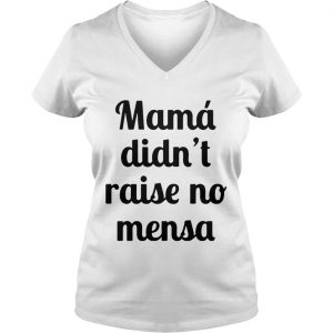 Mama didnt raise no mensa Ladies Vneck