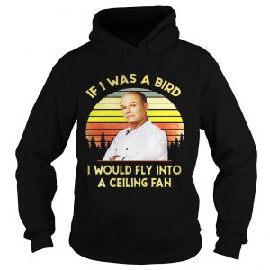 Red Forman If I was a bird I would fly into a ceiling fan sunset Hoodie