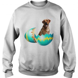 Sweatshirt Dog Easter Cute Labrador Egg Gift Shirt