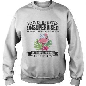 Sweatshirt Flamingo I am currently unsupervised I know It freaks me out too but the possibilities are endless