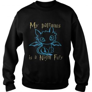 Sweatshirt My Patronus is a Night Fury Awesome Gift Shirt