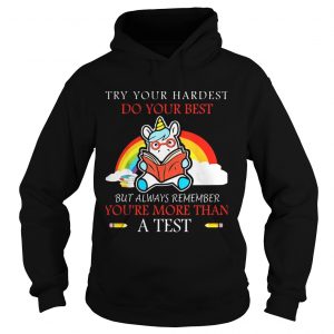 Unicorn Try your hardest do your best Hoodie