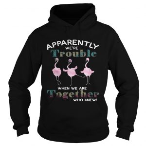 Flamingos apparently were trouble when we are together who knew Hoodie