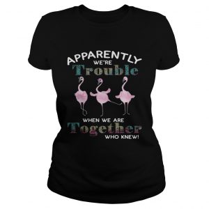 Flamingos apparently were trouble when we are together who knew Ladies Tee