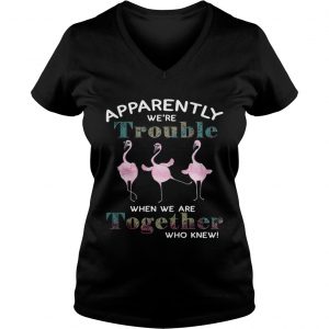 Flamingos apparently were trouble when we are together who knew Ladies Vneck