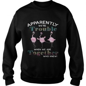 Flamingos apparently were trouble when we are together who knew Sweatshirt