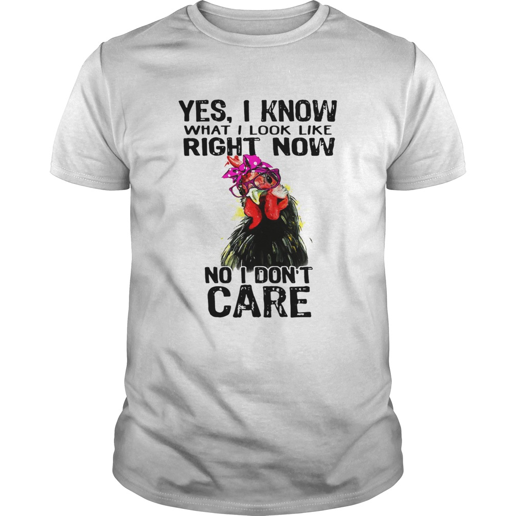 Hen yes I know what I look like right now no I don’t care shirt