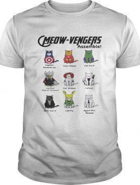 Marvel Cats Meow-avengers assemble shirt