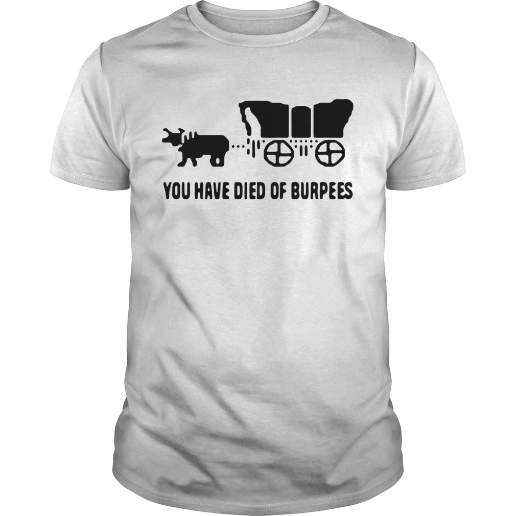 Oregon trail you have died of burpees shirt