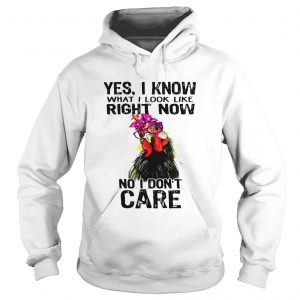 Hen yes I know what I look like right now no I dont care Hoodie